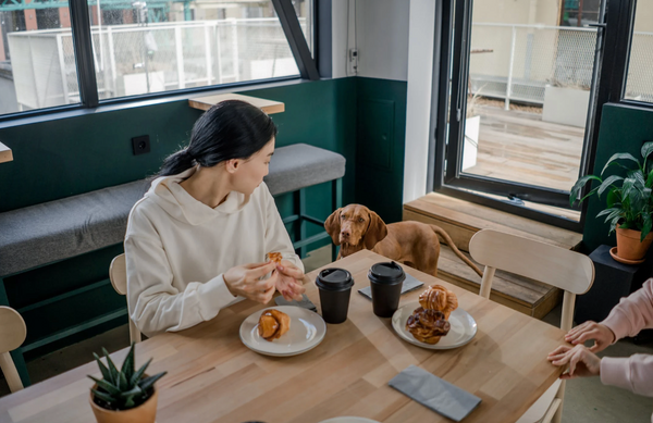Les aliments toxiques pour votre chien 