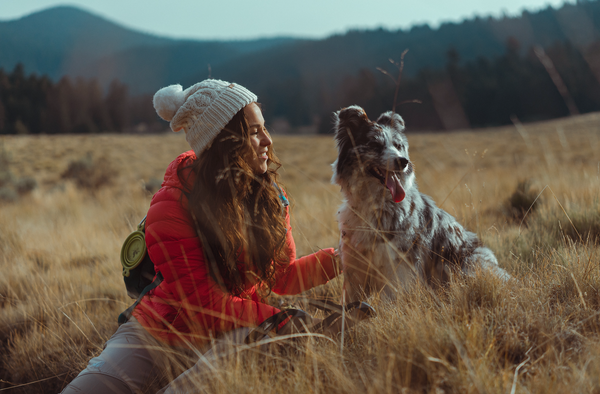 Faire du sport avec mon chien : son bien-être et le mien