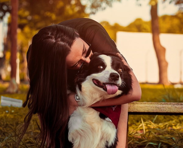 Mon chien ressent-il mes émotions ? Comprendre l'empathie canine et la connexion émotionnelle avec nos compagnons