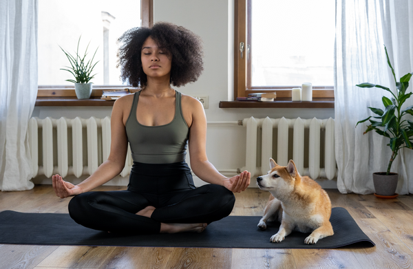 Chiens et méditation : comment nos amis à quatre pattes peuvent-ils nous aider à trouver la sérénité ?