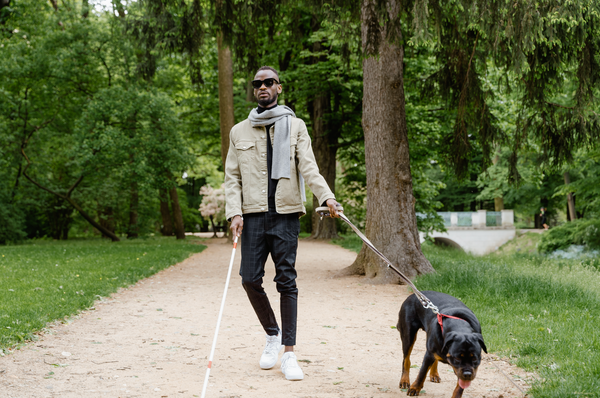 Et si vous deveniez famille d'accueil pour un chien guide d'aveugle ?
