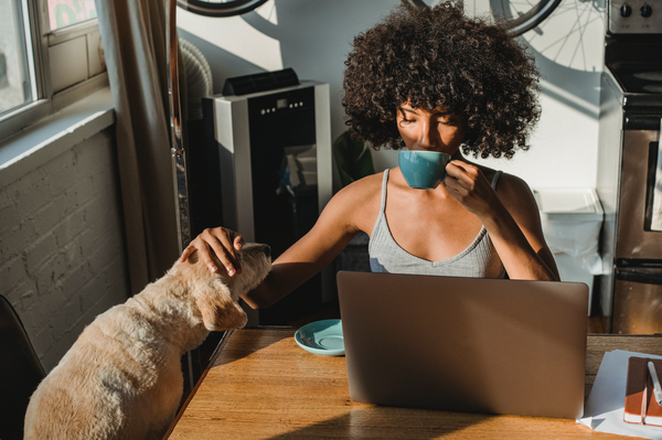 L'impact du confinement sur les chiens