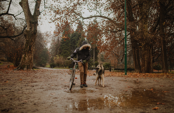 Comment apprendre à son chien à gérer les passages de vélos ?