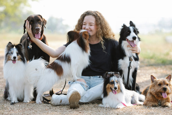 Travailler avec les chiens : 10 carrières pour les amoureux des animaux