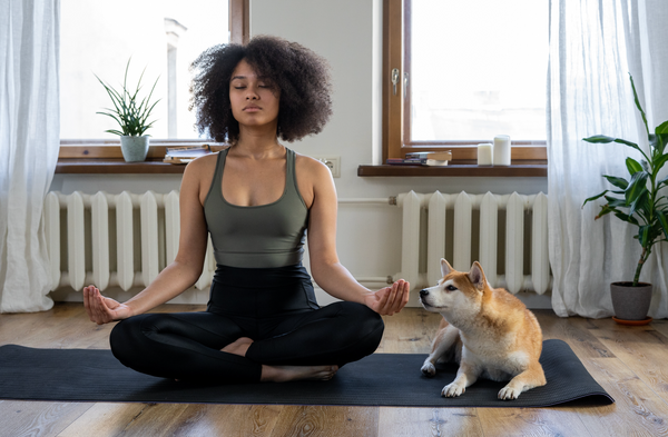 Le Doga : faire du yoga avec votre compagnon à quatre pattes
