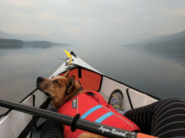 Faire du kayak avec son chien : une aventure en pleine nature à partager !