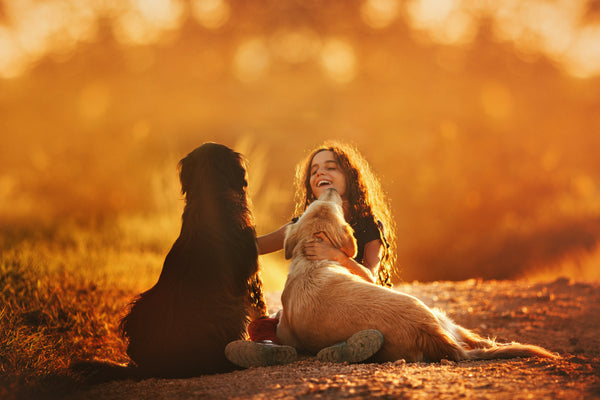 Top 10 des races de chiens les plus sympas avec les enfants