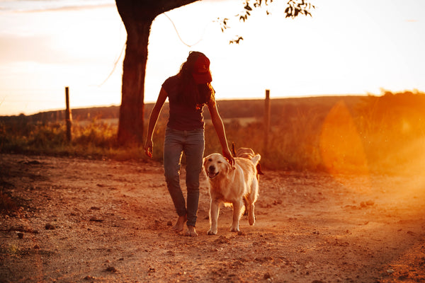 L'Impact du chien sur notre forme physique