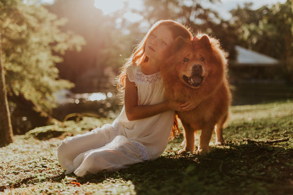 Le chien et les enfants : comment sécuriser ?